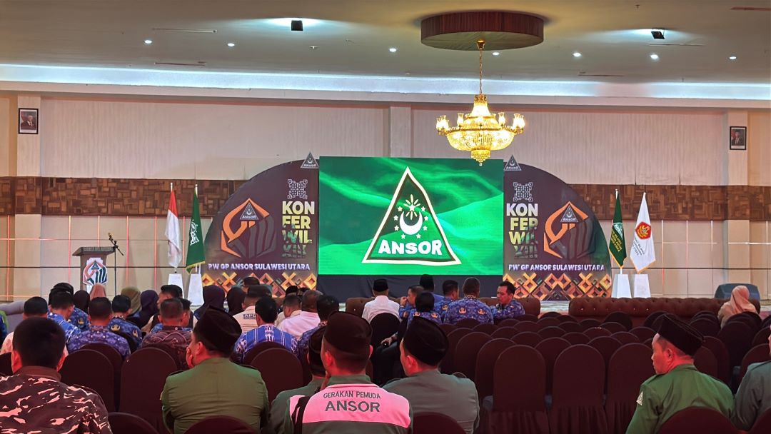 ansor2